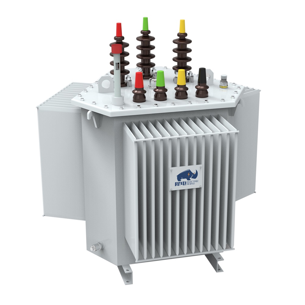 10KV Oil-immersed transformer